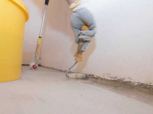 Best Termite Inspection and Treatment  in Ludowici, GA